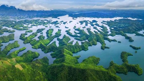 Hồ Tà Đùng được ví như vịnh Hạ Long trên cao nguyên ở phía Tây Lâm Đồng