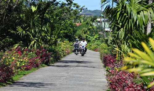 Đường hoa nông thôn Đạ Tẻh 2 sáng, xanh, sạch, đẹp