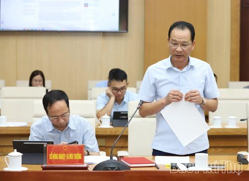 Đại diện lãnh đạo Sở Nông nghiệp và Môi trường báo cáo tại hội nghị.