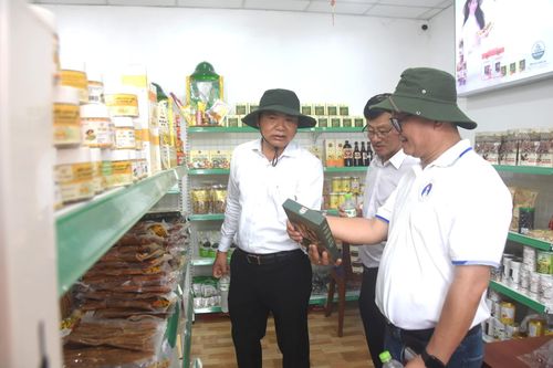 Tham quan, tìm hiểu các sản phẩm đặc trưng, sản phẩm OCOP tỉnh Quảng Trị - Ảnh: Đ.V