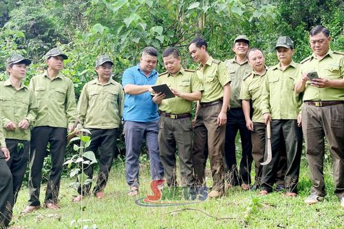 Ban Quản lý rừng đặc dụng Tà Xùa ứng dụng thiết bị thông minh trong quản lý, bảo vệ rừng.