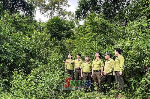 Ban Quản lý rừng đặc dụng Tà Xùa tuần tra rừng trên địa bàn xã Suối Tọ.