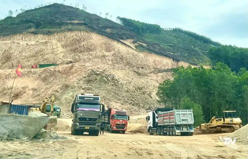 Vận tải hàng hóa tiếp tục giữ vai trò chủ lực với doanh thu 6 tháng đạt 4.433,2 tỷ đồng, chiếm khoảng 72,2% tổng doanh thu toàn ngành.