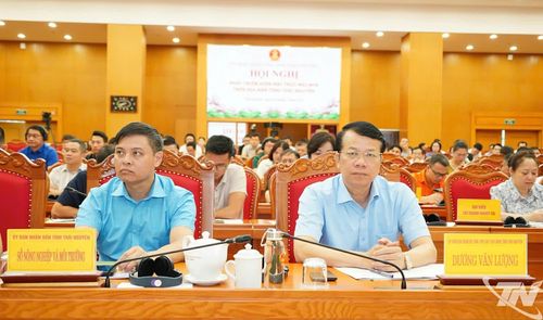 Các đồng chí lãnh đạo tỉnh và đại biểu dự Hội nghị.