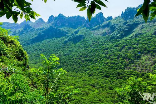 Hiện, xã La Hiên có trên 300ha na, chiếm gần 60% diện tích và hơn 65% sản lượng na khu vực phía Đông tỉnh Thái Nguyên.