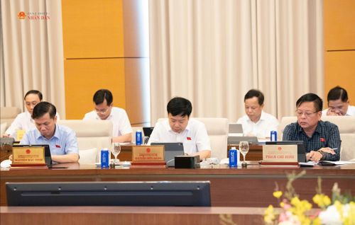 Các đại biểu dự phiên họp