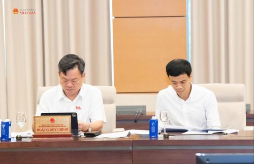 Các đại biểu dự phiên họp