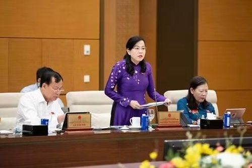 Chủ nhiệm Ủy ban Khoa học, Công nghệ và Môi trường Nguyễn Thanh Hải phát biểu tại phiên họp.