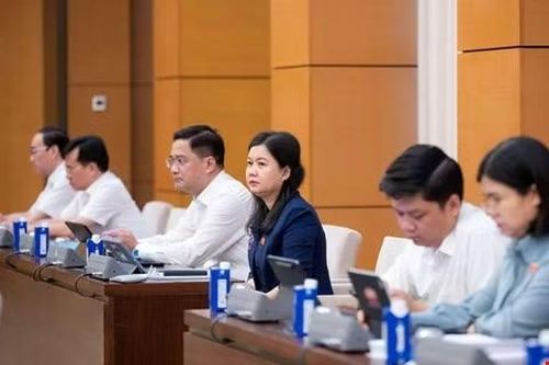 Các đại biểu dự phiên họp.