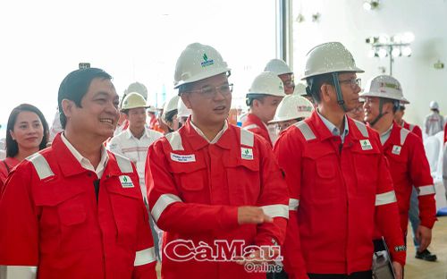 Phó Chủ tịch UBND tỉnh Cà Mau