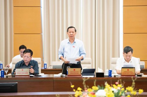 Chủ nhiệm Ủy ban Kinh tế và Tài chính Phan Văn Mãi trình bày Báo cáo thẩm tra Dự án Luật. Ảnh: VPQH