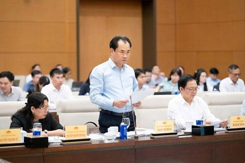 Bộ trưởng Bộ Nông nghiệp và Môi trường Trịnh Việt Hùng trình bày tóm tắt Tờ trình. Ảnh: VPQH