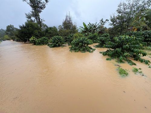 Mưa lớn kéo dài đã gây nên ngập úng trên diện rộng tại phường 3 Bảo Lộc. Tại đây các tổ dân phố 3 và 16 là những nơi chịu ảnh hưởng nghiêm trọng nhất. Nhà cửa, đường xá, vườn tược đều bị nước ngập sâu.