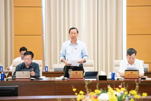 Chủ nhiệm Ủy ban Kinh tế và Tài chính của Quốc hội Phan Văn Mãi báo cáo thẩm tra. Ảnh: media.quochoi.vn