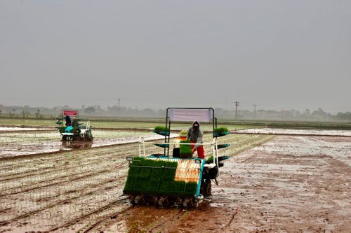 Cơ giới hóa đang từng bước thay đổi diện mạo nền sản xuất nông nghiệp theo hướng hiện đại. Ảnh: PV
