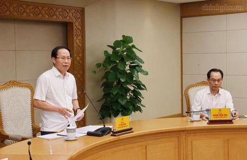 Phó Thủ tướng đề nghị các bộ, cơ quan, địa phương tập trung cao độ thực hiện đồng bộ, quyết liệt, hiệu quả một số nhiệm vụ, giải pháp đề ra theo chức năng, nhiệm vụ, thẩm quyền - Ảnh: VGP/Thu Sa