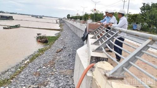 Dự án khắc phục khẩn cấp sạt lở sông Tiền tại khu vực kè chống xói lở bờ sông Tiền đạt tiến độ hơn 85%.