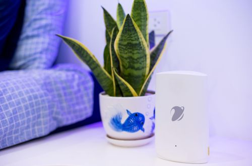Thiết bị WiFi Mesh của VNPT được thiết kế để mở rộng vùng phủ wifi, phù hợp với nhu cầu kết nối của các gia đình hiện đại. Ảnh: C.H
