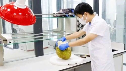 Cơ quan chức năng từng phát hiện không ít trường hợp giả mạo giấy xét nghiệm Cadimi, vàng O trên thị trường.