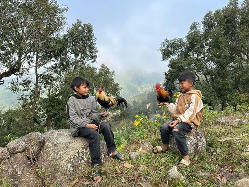 Càng lên cao, con đường càng hoang vắng, đá cổ càng hiện ra rõ nét, phủ lớp rêu phong xanh mướt làm việc di chuyển có phần trơn trượt và cũng kích thích hơn. 