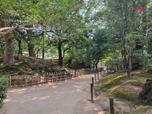 Các tuyến đường trong khu vườn đều sạch đẹp.