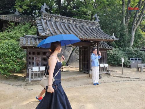 Khu vườn cũng là điểm check in với nhiều du khách.