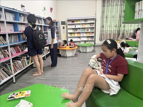 Với các không gian đọc thân thiện, học sinh sẽ dễ dàng tìm kiếm và chọn cho mình những cuốn sách yêu thích, phù hợp với lứa tuổi.