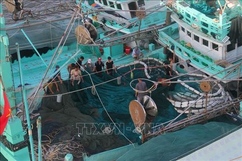 Ngư dân xã Sông Đốc (tỉnh Cà Mau) chuẩn bị ngư lưới cụ chuẩn bị cho các chuyến vươn khơi bám biển. Ảnh: Chanh Đa/TTXVN