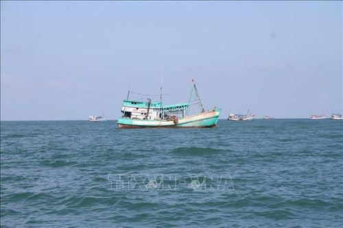 Tàu thuyền khai thác thủy sản trên vùng biển Cà Mau. Ảnh: Chanh Đa/TTXVN