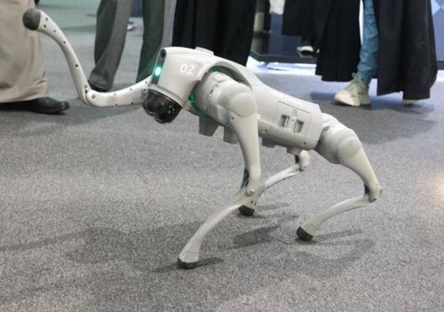 Chó robot do công ty Unitree Robotics (Trung Quốc) sản xuất. Ảnh: Tân Hoa Xã