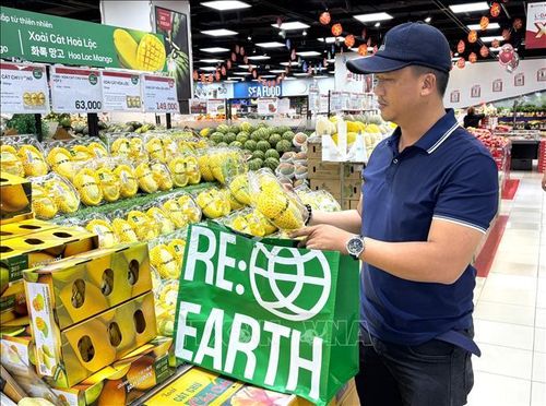 Người dân TP Hồ Chí Minh sử dụng túi đựng thực phẩm thân thiện môi trường, có thể sử dụng nhiều lần, khi đi mua sắm tại siêu thị Lotte Mart Nam Sài Gòn. Ảnh: Hương Giang/TTXVN