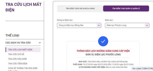 Lịch cắt điện Đồng Nai cập nhật tại Điện lực miền Nam. Ảnh: BNEWS