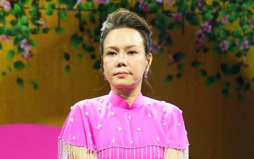 Việt Hương thường xuyên hy sinh hình ảnh bản thân để phục vụ cho vai diễn.