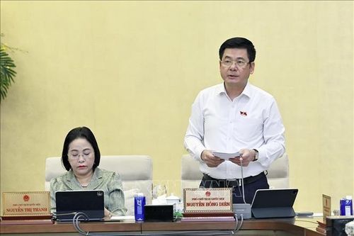 Phó Chủ tịch Quốc hội Nguyễn Hồng Diên phát biểu. Ảnh: TTXVN.
