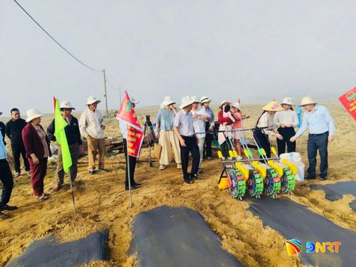 Nông dân xã Đại Lộc xuống giống vụ đậu phụng. Ảnh: Hội Nông dân xã cung cấp