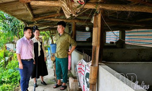 Nguồn vốn tín dụng chính sách giúp nhiều hộ dân xã Tuần Giáo phát triển sản xuất, chăn nuôi.