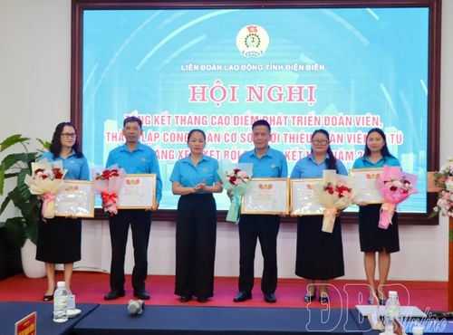 Các cá nhân có thành tích xuất sắc trong thực hiện tháng cao điểm nhận Bằng khen của Liên đoàn Lao động tỉnh.