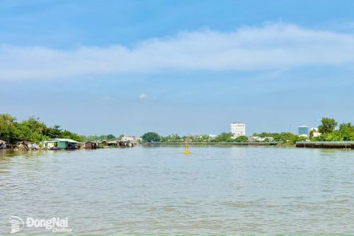 Mực nước sông Đồng Nai đang lên cao. Ảnh: Kim Liễu
