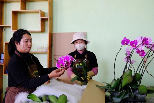 Đồng bào DTTS có nhiều cơ hội việc làm trong lĩnh vực nông nghiệp