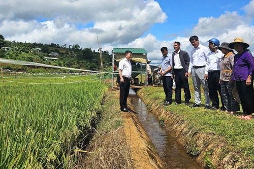 Sau hội nghị tiếp xúc cử tri, lãnh đạo xã Quảng Trực đã trực tiếp xuống cánh đồng Đắk Ken khảo sát kiến nghị của người dân về việc mở đường phục vụ sản xuất