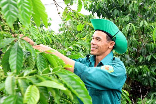 Năm 2026, xã Krông Nô đặt mục tiêu giảm 1,92%, tương đương 115 hộ