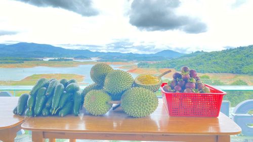 Sầu riêng, măng cụt ở La Dạ rất được nhiều người ưa chuộng sẽ được trưng bày ở lễ hội...