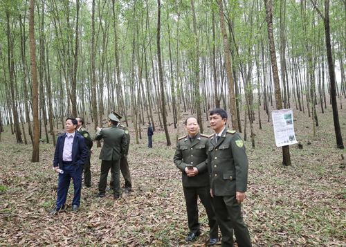 Lực lượng chức năng triển khai nhiều giải pháp nhằm thích ứng với EUDR - Ảnh: V.M