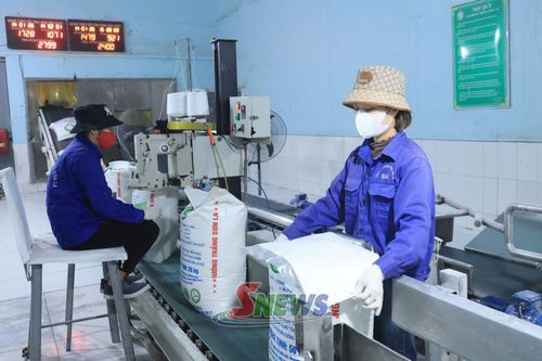 Công nhân Công ty CP Mía đường Sơn La, xã Mai Sơn đóng gói sản phẩm.