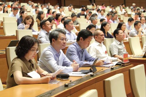 Các đại biểu dự Hội nghị. Ảnh: Hồ Long