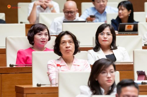Các đại biểu dự Hội nghị. Ảnh: Phạm Thắng