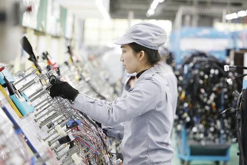 Theo các chuyên gia, việc đa dạng hóa kênh vốn không nhằm thay thế tín dụng ngân hàng, mà bổ sung nguồn lực phù hợp hơn cho nhu cầu đầu tư dài hạn. Ảnh : Anh Thư
