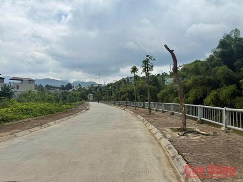 Sau mưa lũ nhiều cột điện Tổ dân phố Hòa Chung 2, phường Tân Giang đã bị đổ hoàn toàn.