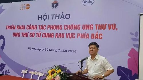 Cục trưởng Cục Bà mẹ và Trẻ em Đinh Anh Tuấn chia sẻ thông tin tại hội thảo.