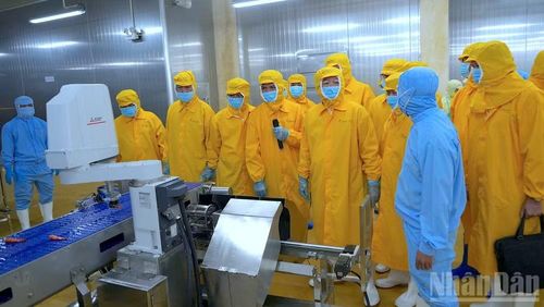 Phó Thủ tướng Chính phủ Hồ Quốc Dũng (thứ 4 từ phải qua) trò chuyện với đội ngũ kỹ thuật tại xưởng sản xuất tôm xuất khẩu của Tập đoàn Minh Phú vào ngày 14/7/2026.